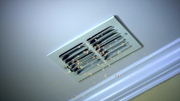 Best Ventilation Cleaning Services  in Osceola, AR