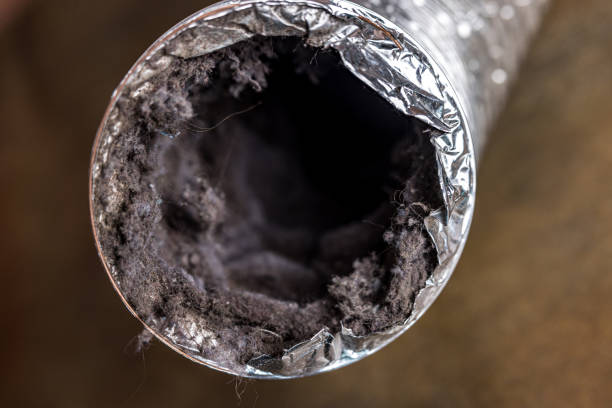 Best Air Duct Cleaning Company Near Me  in Osceola, AR